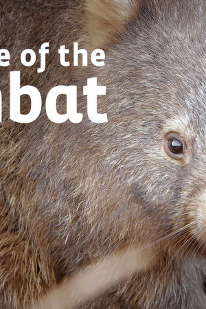 Secret Life of the Wombat