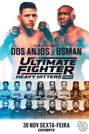 The Ultimate Fighter 28 Finale