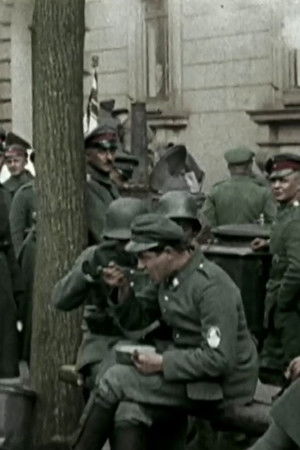 Hitler's Rise: The Colour Films