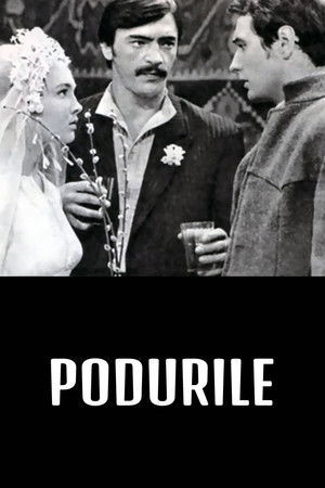 Podurile