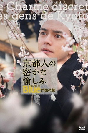 京都人の密かな愉しみBlue修業中 門出の桜