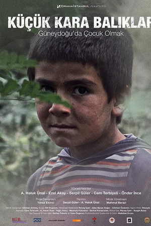 Küçük Kara Balıklar - Güneydoğuda Çocuk Olmak
