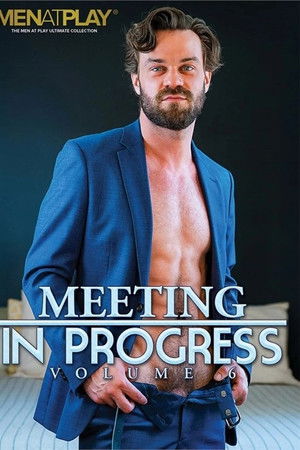 Meeting in Progress 6