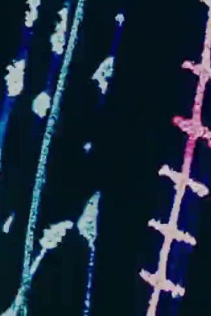 Desenho Abstrato n° 2