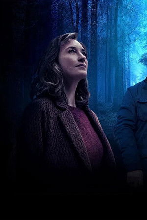 Les Disparus de la Forêt Noire