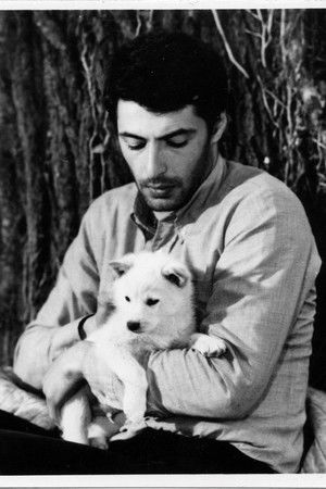 იმედის მწვანე კუნძული