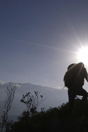 De helden van Arnout