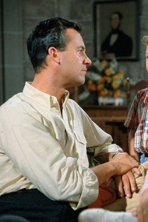 Please Don't Eat the Daisies