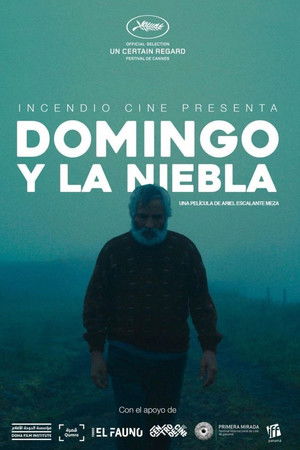 Domingo y la niebla