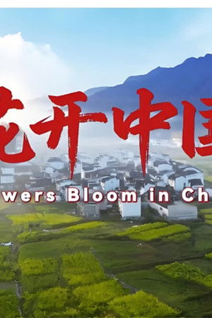 花开中国