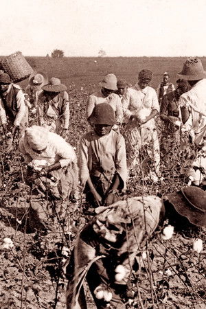 Slavery and the Making of America