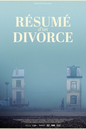 Résumé d'un divorce