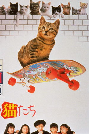 公園通りの猫たち