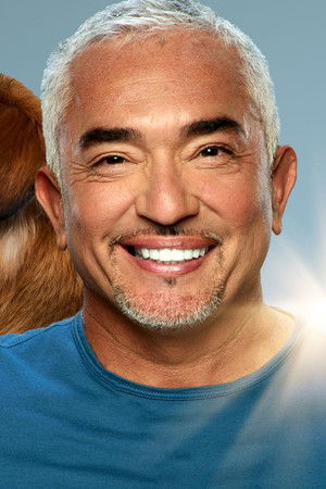 Cesar Millan: Better Human, Better Dog