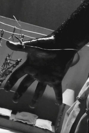 Eternal Return - PINK Edition