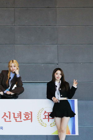 르세라핌컴퍼니