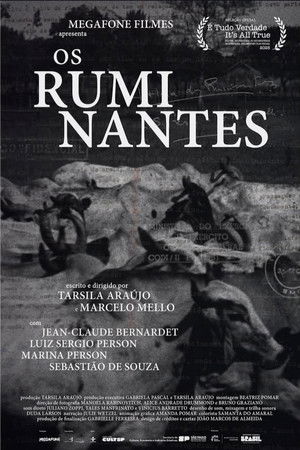 Os Ruminantes
