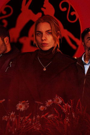 O sabor das margaridas