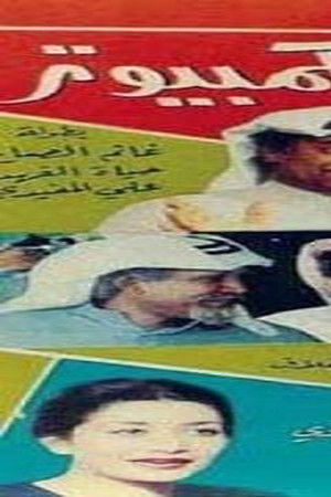 زوجة بالكمبيوتر