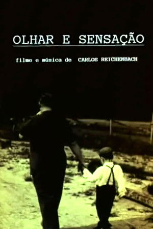 Olhar e Sensação