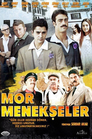 Mor Menekşeler