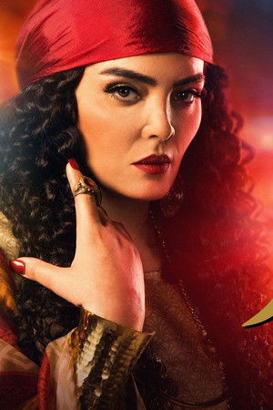 مملكة الغجر