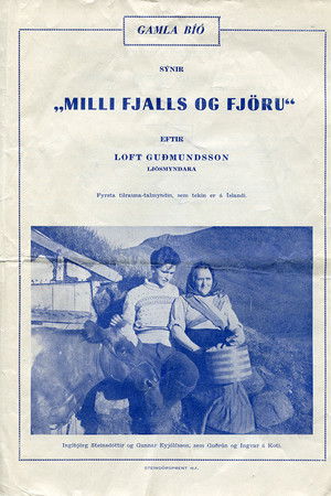 Milli fjalls og fjöru