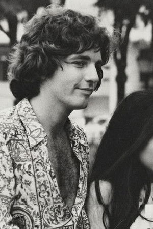 Camomila e Bem-Me-Quer