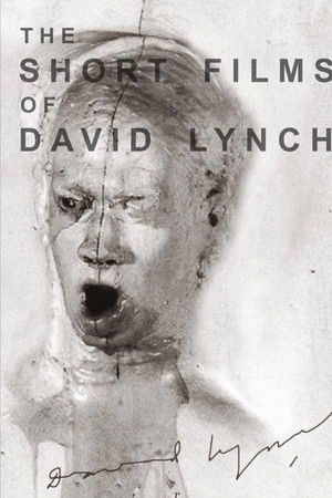 The Short Films of David Lynch