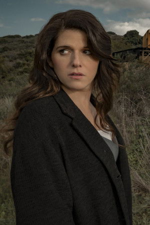 להעיר את הדב