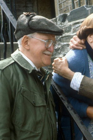 Last of the Summer Wine