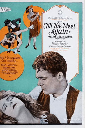 Till We Meet Again