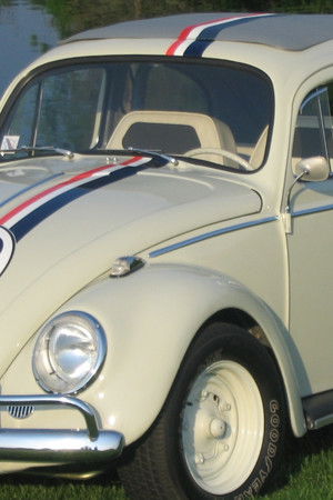 Herbie, the Love Bug
