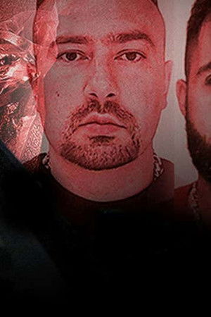 Uppdrag Granskning : En gång bröder