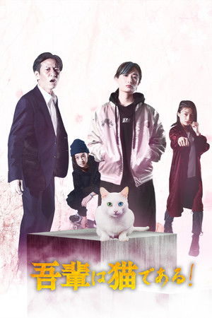 吾輩は猫である!