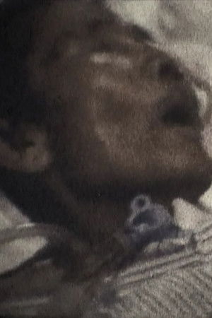 夏の残像 ぽくのおじいちゃん -短縮版-