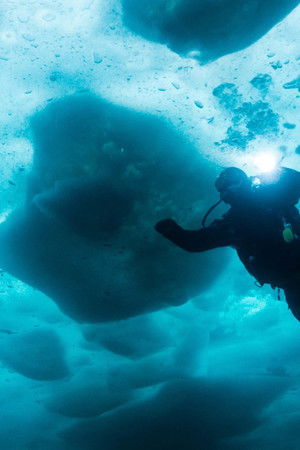Bering Sea Gold: Under the Ice