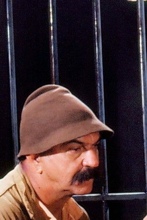 O Salvador da Pátria