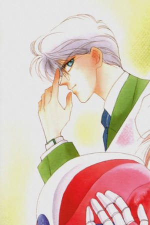 特務戦隊シャインズマン