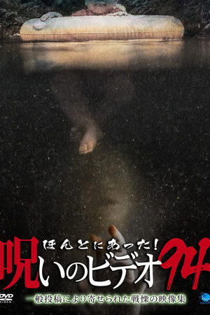 ほんとにあった！呪いのビデオ94