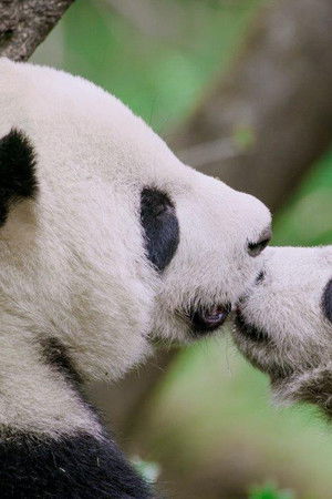 The Hidden Kingdoms of China