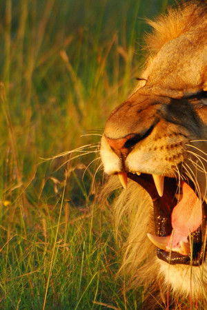 Secret World of Sound