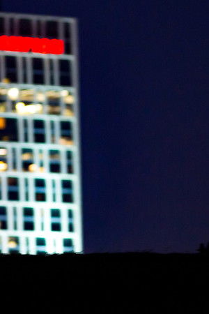 Cities: Nature's New Wild