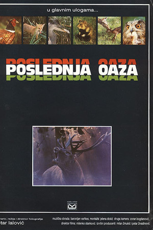 Poslednja oaza