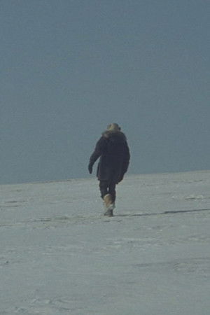 Une Histoire de Cheveux (Sibérie)