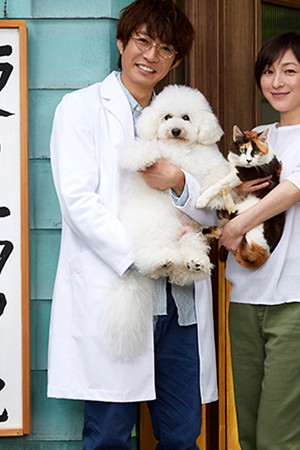 僕とシッポと神楽坂