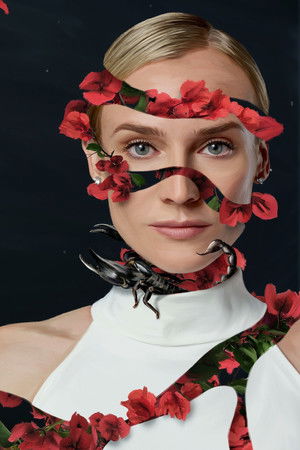 Swimming with Sharks