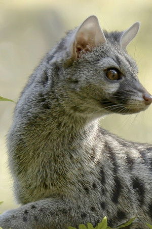 Hidden Wonders of Europe