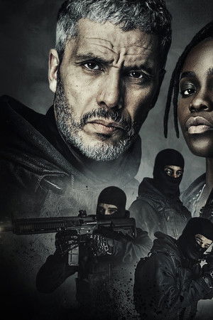 Braqueurs : La série