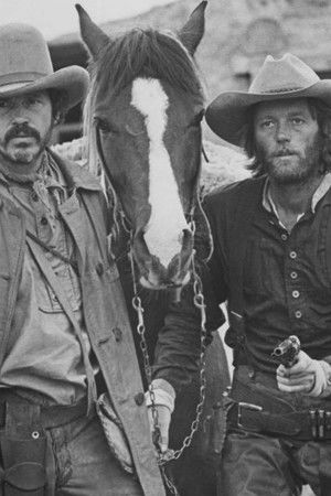 Return of the "Hired Hand"